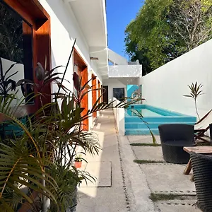 casa-coral-costa-maya.quintano-roohotels.com/